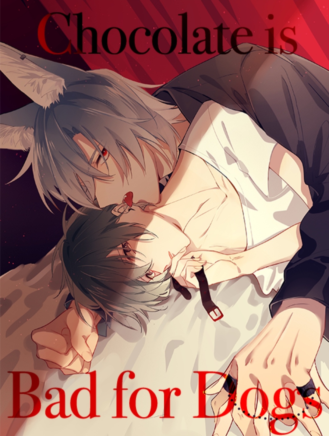 chocolate-co-hai-cho-cho