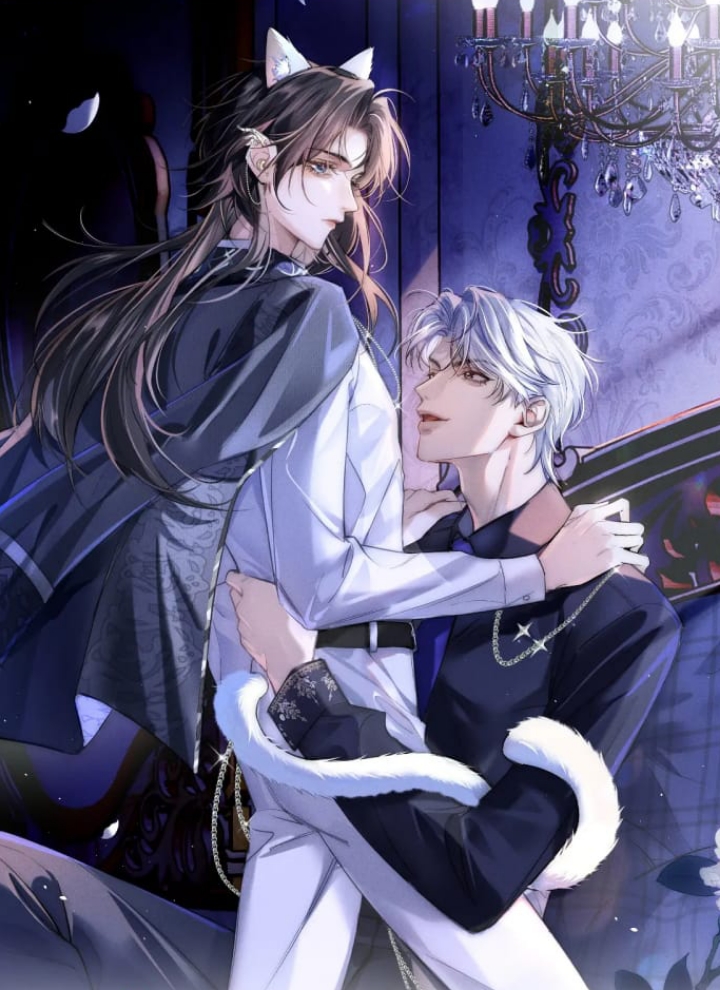 quan-chi-huy-cao-lanh-he-hon-la-khoc