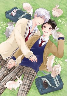 aitai-jou-to-usagi-no-yamai