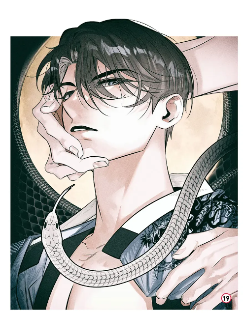 bong-ran-duoi-anh-trang