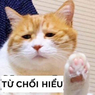 chi-can-do-la-dieu-ngai-muon-toi-se-lam