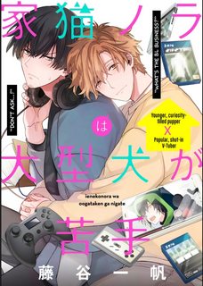 chu-meo-nha-nora-khong-gioi-doi-pho-voi-giong-cho-co-lon