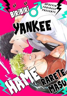 dau-gau-he-dien-bi-mac-bay