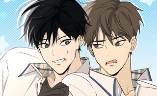 dem-mua-he-co-hoa-lupin