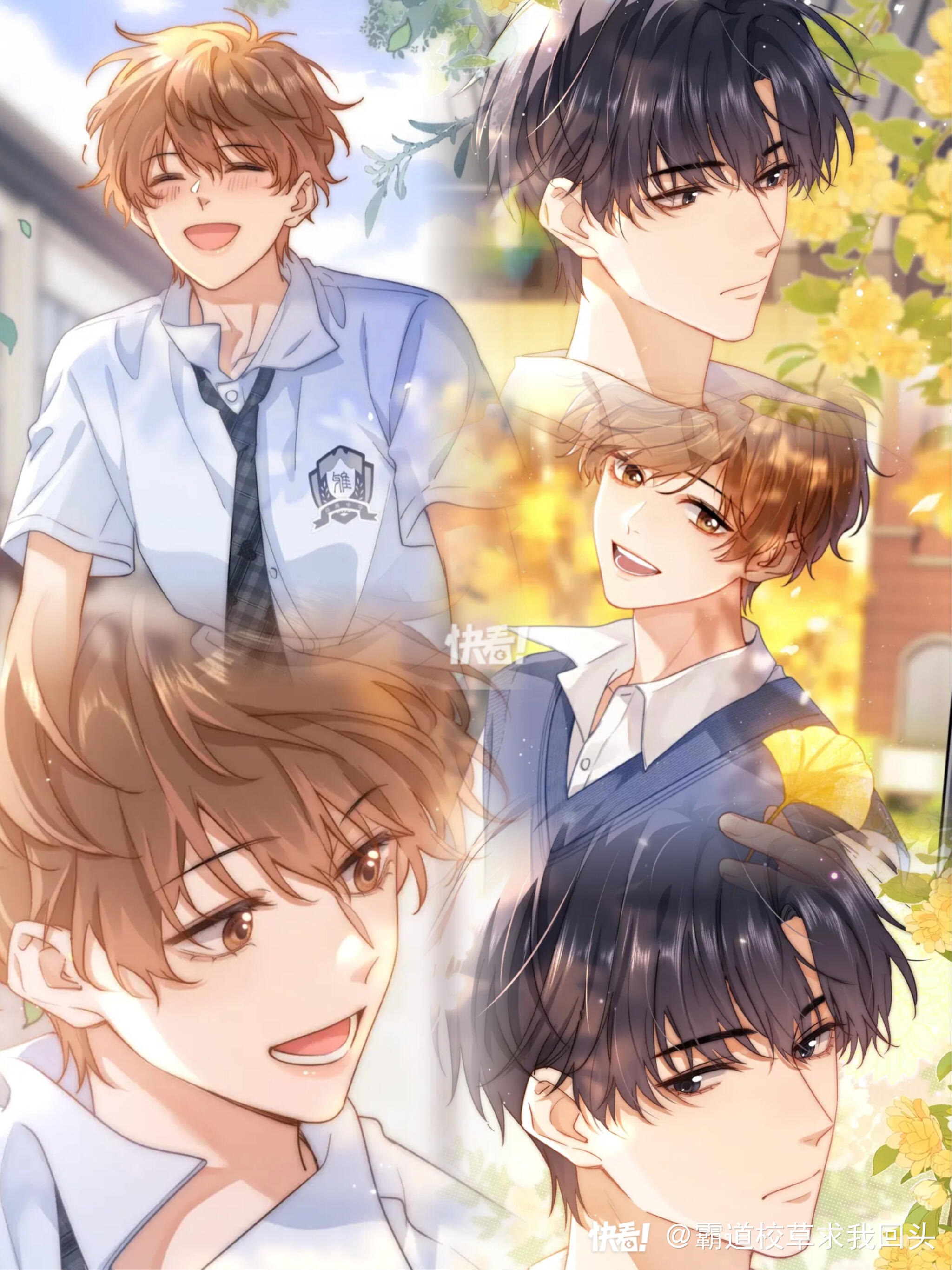 drop-chat-di-ung-cuc-cute