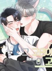 khong-phai-con-meo-do-ma-la-con-meo-nay-nay