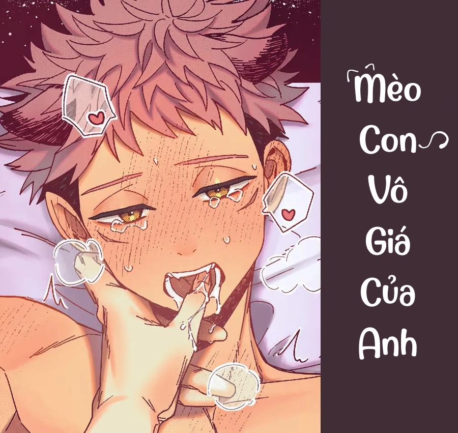 meo-con-vo-gia-cua-anh