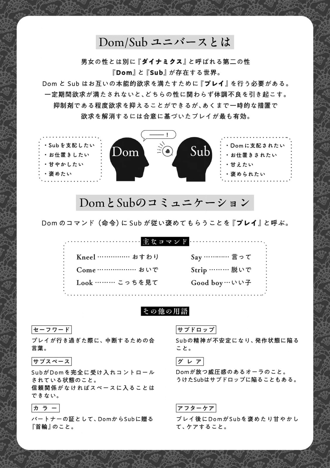 quy-xuong-nao-cho-cung-cua-to