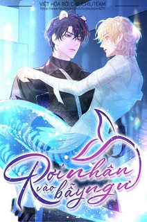 roi-vao-bay-nhan-ngu