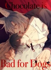 socola-co-hai-cho-cho